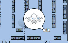 Dueling Analogs’ Intervention