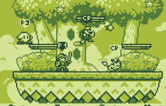 Super Smash Land