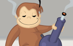 Curiousity Killed the Monkey