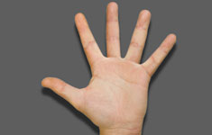 Normal vs. Gamer Hand