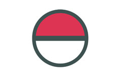 The Seventeen Pokémon Types