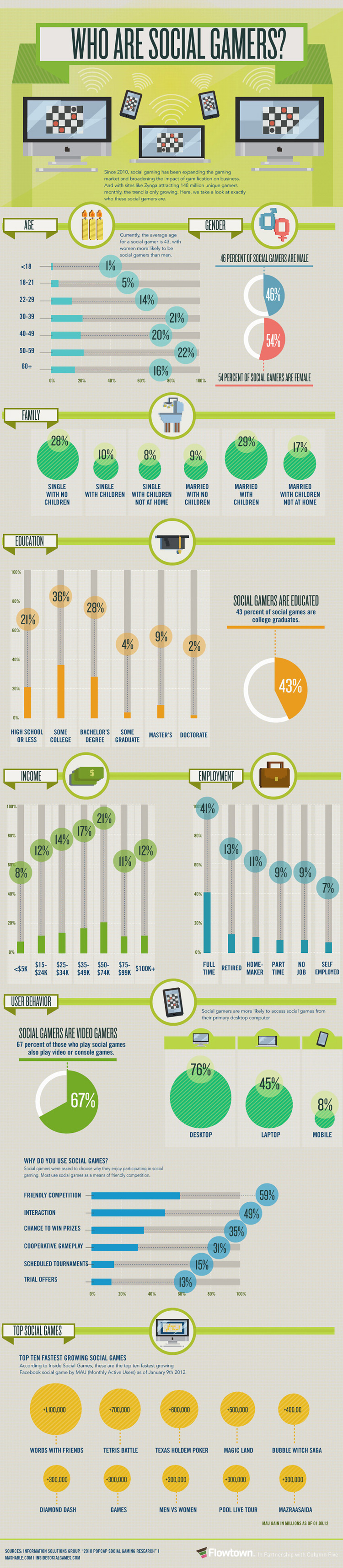 Who are Social Gamers?