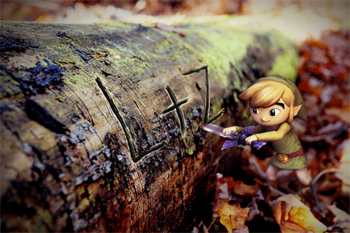 Lost Woods