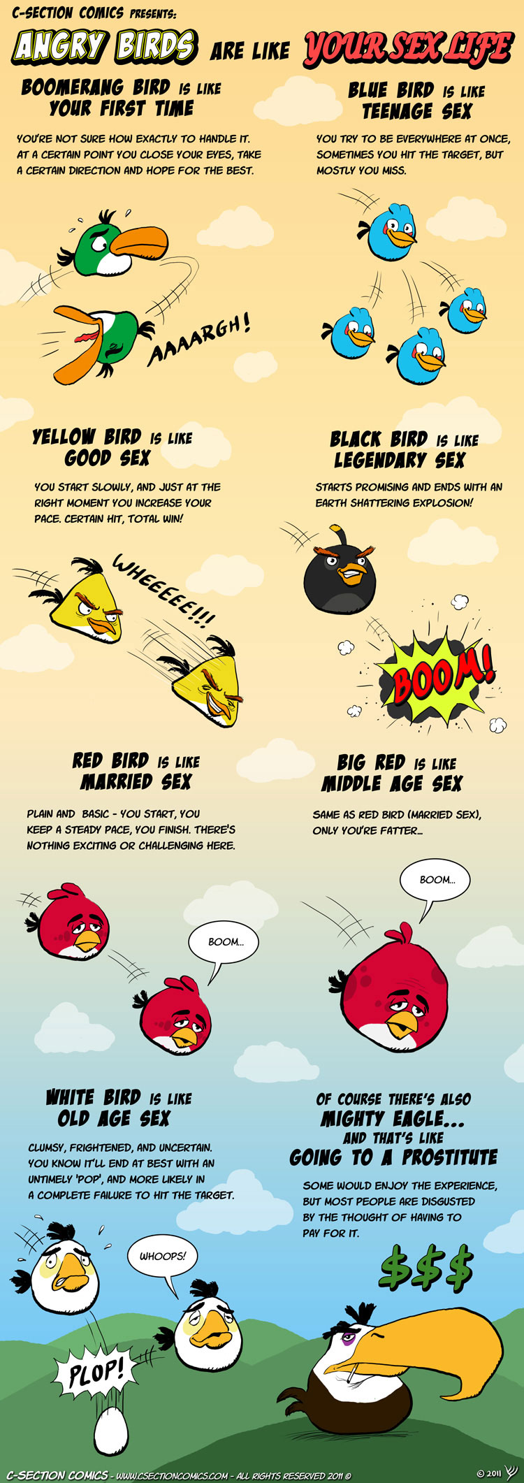 Angry Birds are Like Your Sex Life