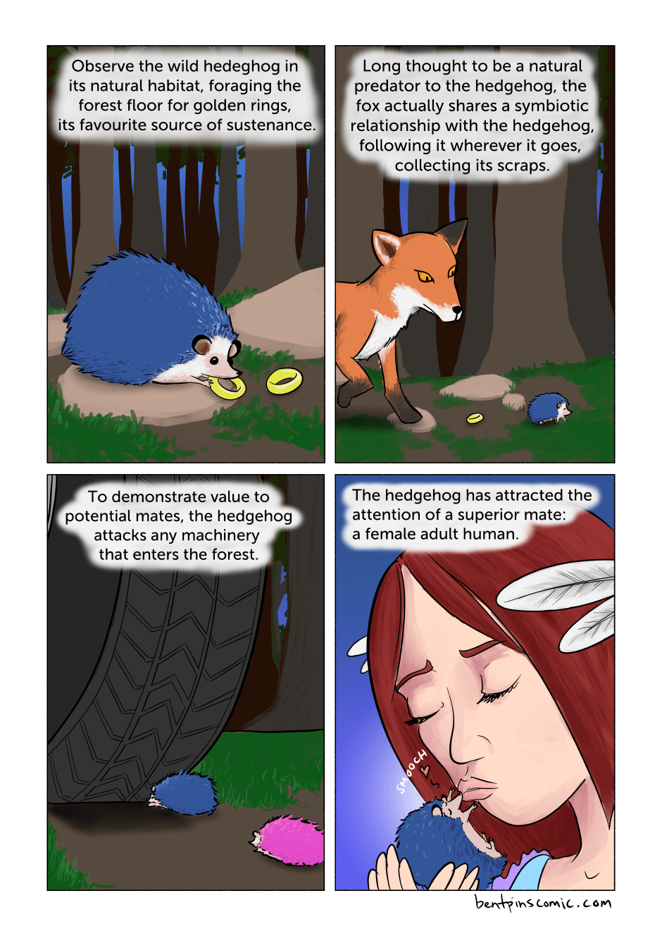 March of the Hedgehogs
