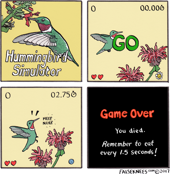 Hummingbird Simulator